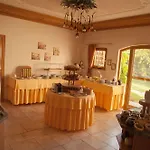 Garten - Sallerhof Otel