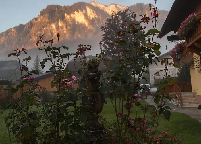 Garten - Sallerhof Otel